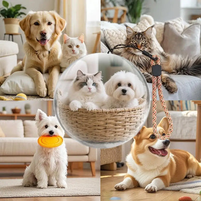 Personalized Crystal Memory Ball — Digital Photo & Video Display